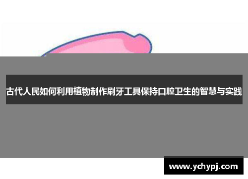 古代人民如何利用植物制作刷牙工具保持口腔卫生的智慧与实践